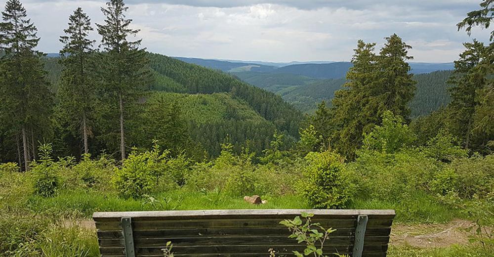 Ferienhaus Astenblick - Ideal Fuer Weihnachtsfeiern Und Familienfeiern Bietet Schlafplaetze Fuer Bis Zu 35 Personen Villa Winterberg Dış mekan fotoğraf
